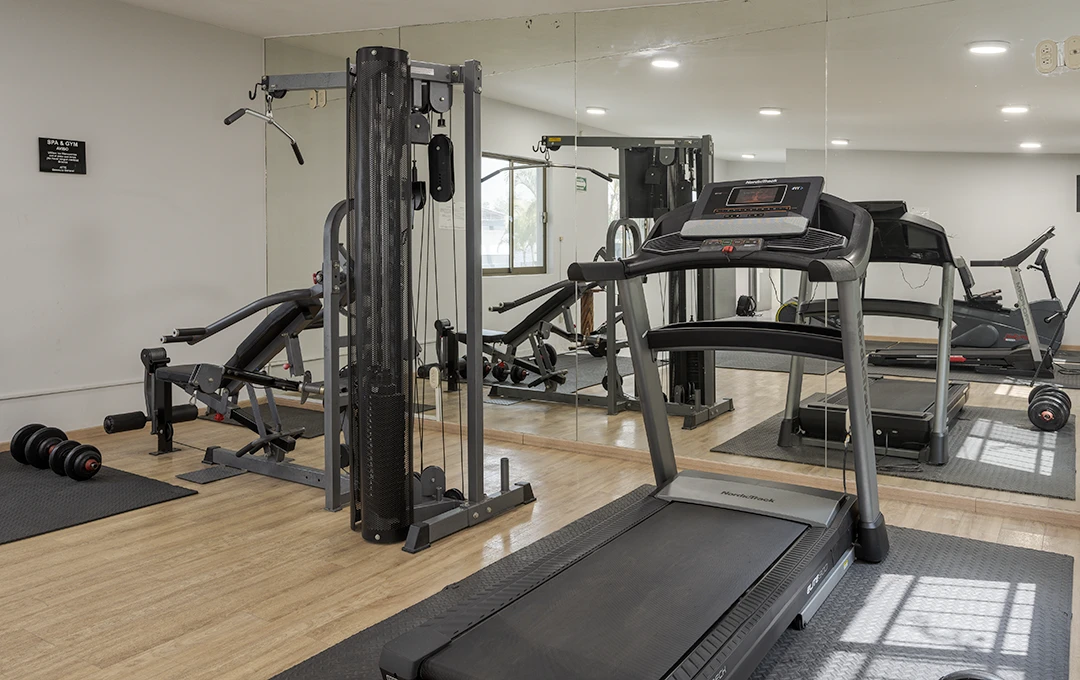 Gimnasio | Hotel Malibu